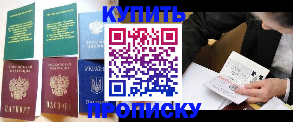 прописка для школы в Мытищах